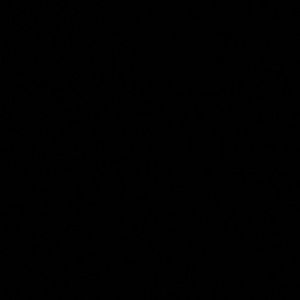 Meet your Posher, Rachael